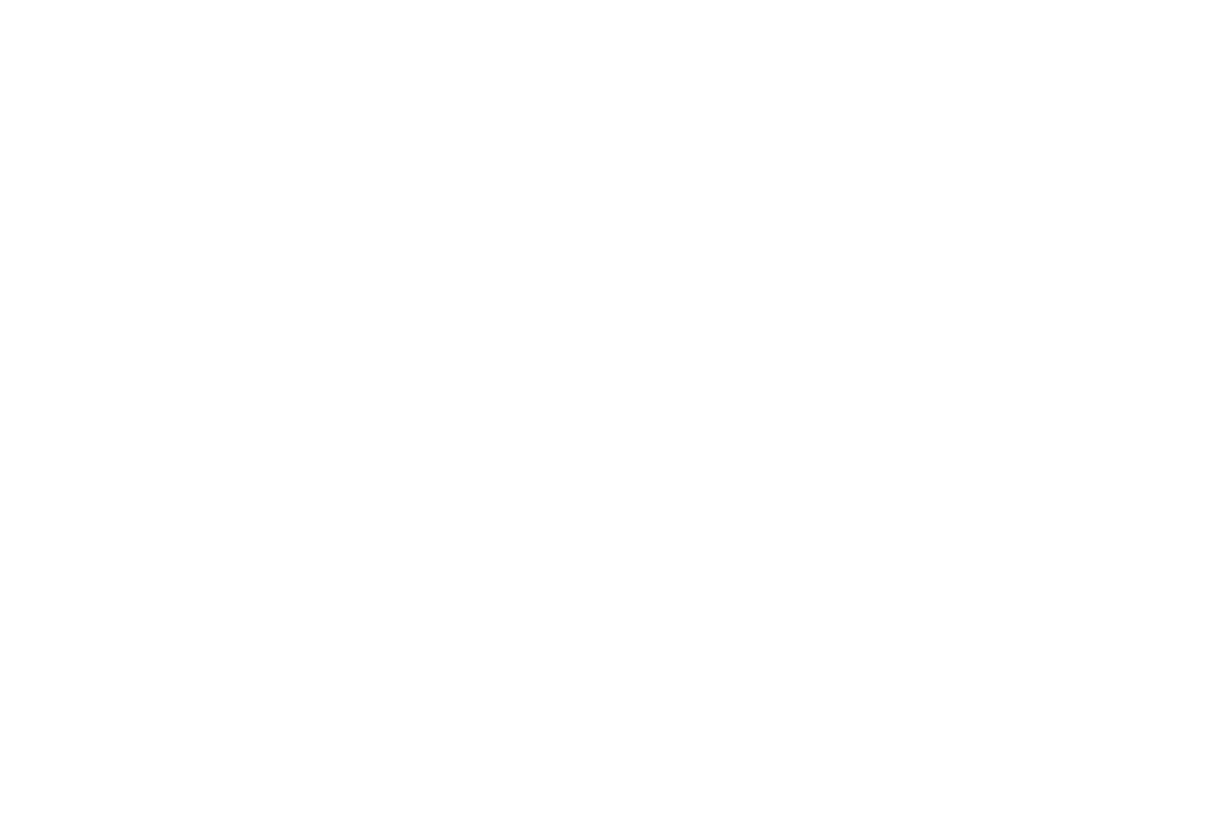 Orbify logo WHITE RGB